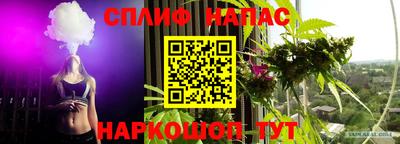 скорость Кингисепп