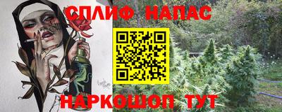 шишки Кимры