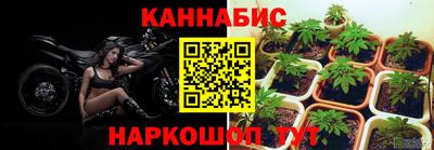 шишки Кимры