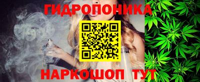 скорость Кингисепп