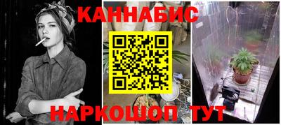 скорость Кингисепп