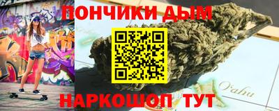 шишки Кимры