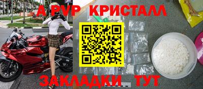 шишки Кимры