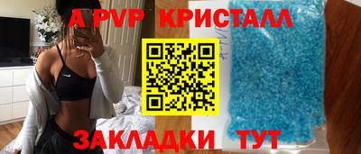 скорость Кингисепп