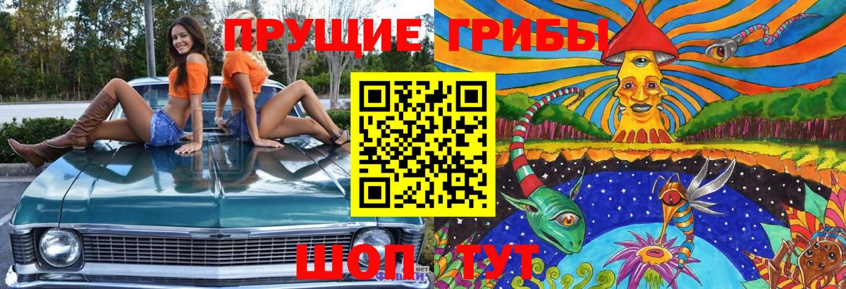 Псилоцибиновые грибы GOLDEN TEACHER Тутаев