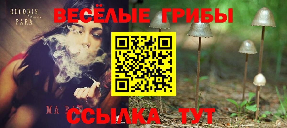 Тутаев  Галлюциногенные грибы MAGIC MUSHROOMS  Вход с VPN 